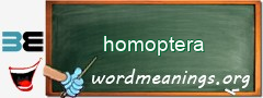 WordMeaning blackboard for homoptera